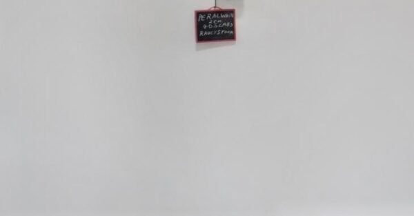 Quartz Slab - Classic Range | Whites - Image 19